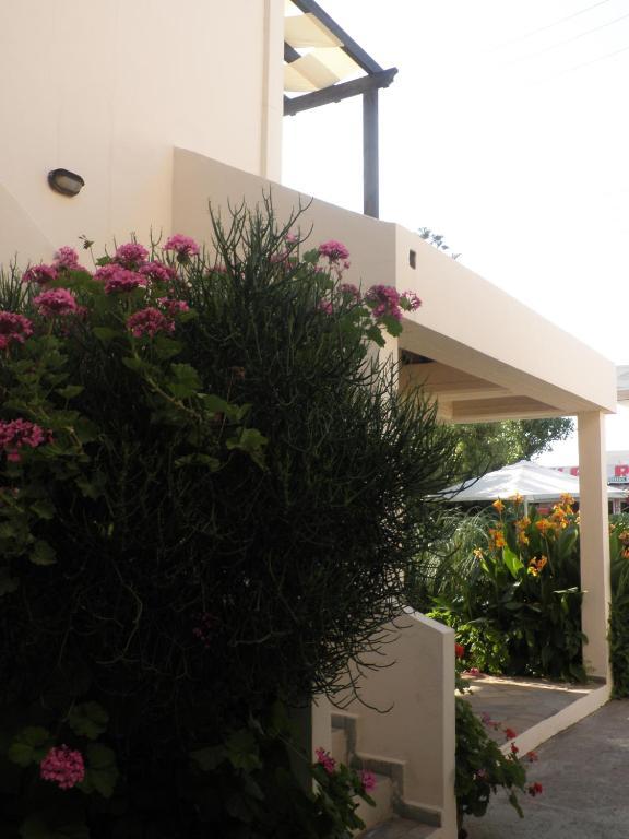 Aigialis Apartments & Studios Kokkini Hani Room photo